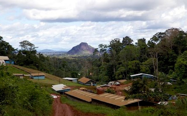 The Market Herald |   Meet the company drilling high-grade gold projects in Guyana